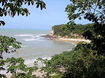 Pipa Tours